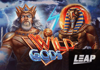 Wild Gods